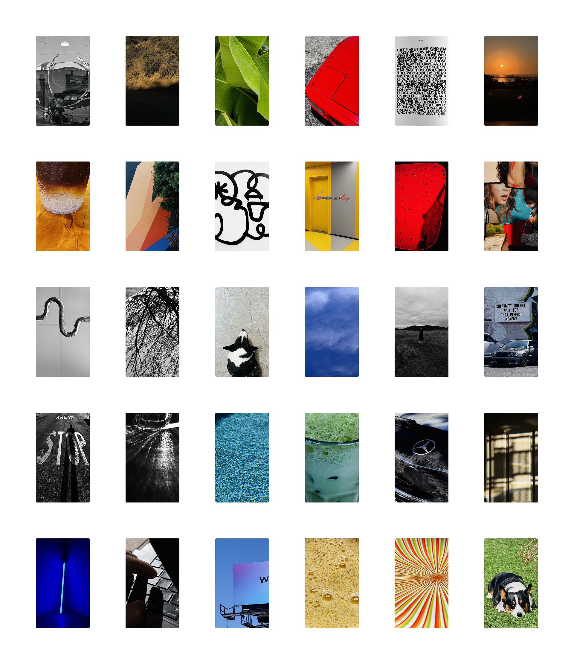 Manoel's phone shots